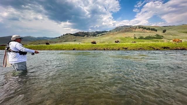 The Best Fly Fishing Trips in Yellowstone Park