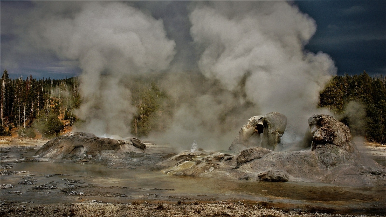 Yellowstone Fly Fishing Trips