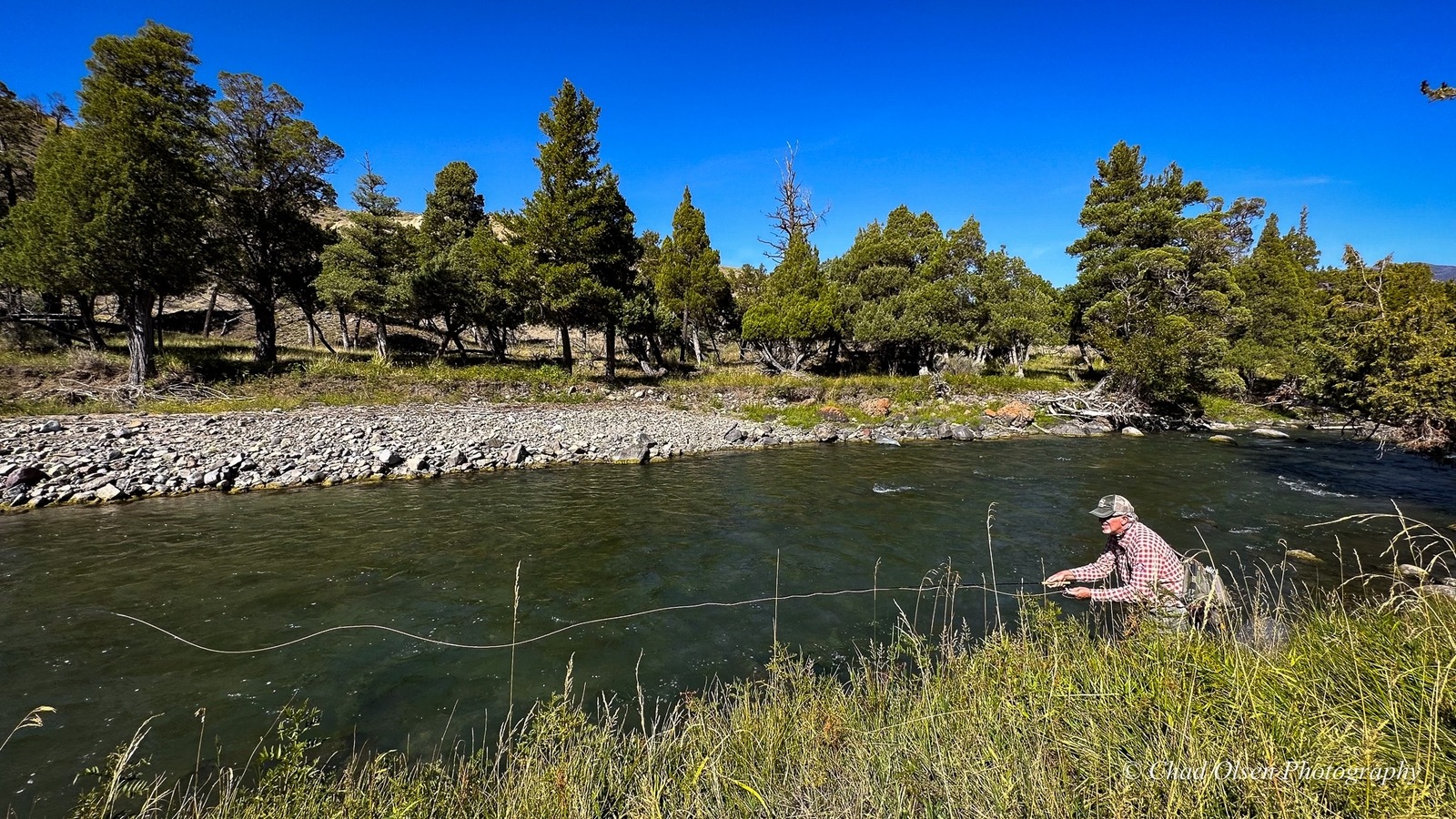 Yellowstone Fly Fishing Trips
