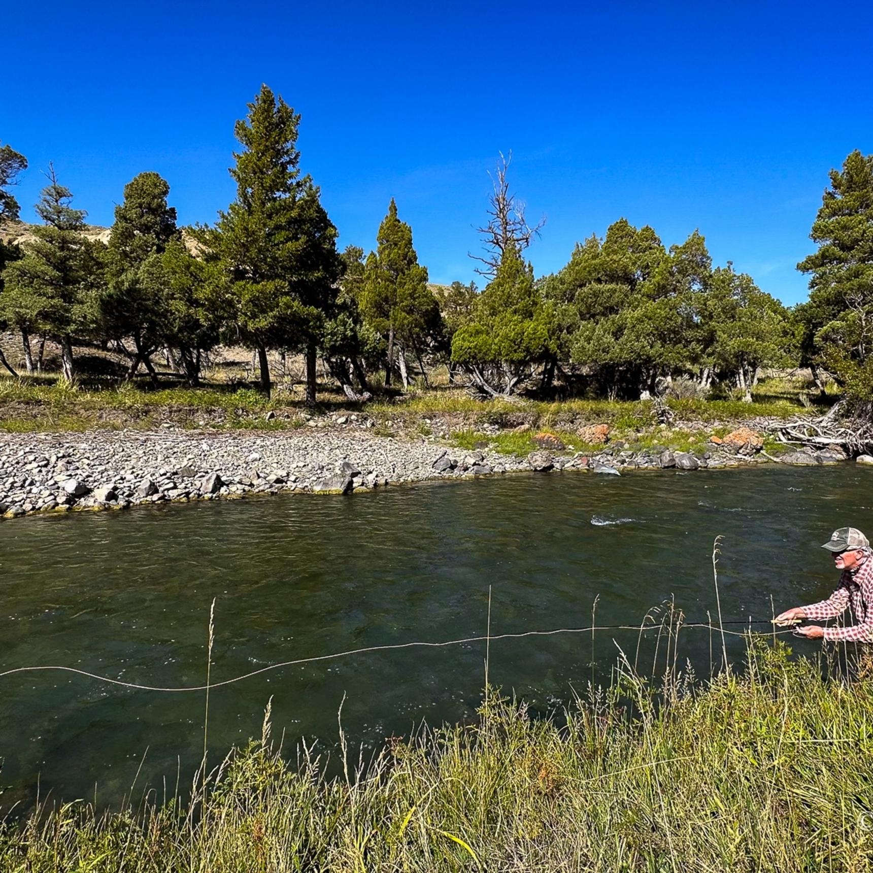 Yellowstone Fly Fishing Trips