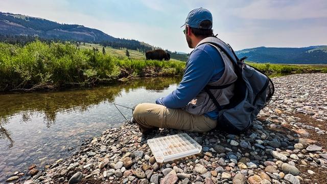 The Best Fly Fishing Trips in Yellowstone Park