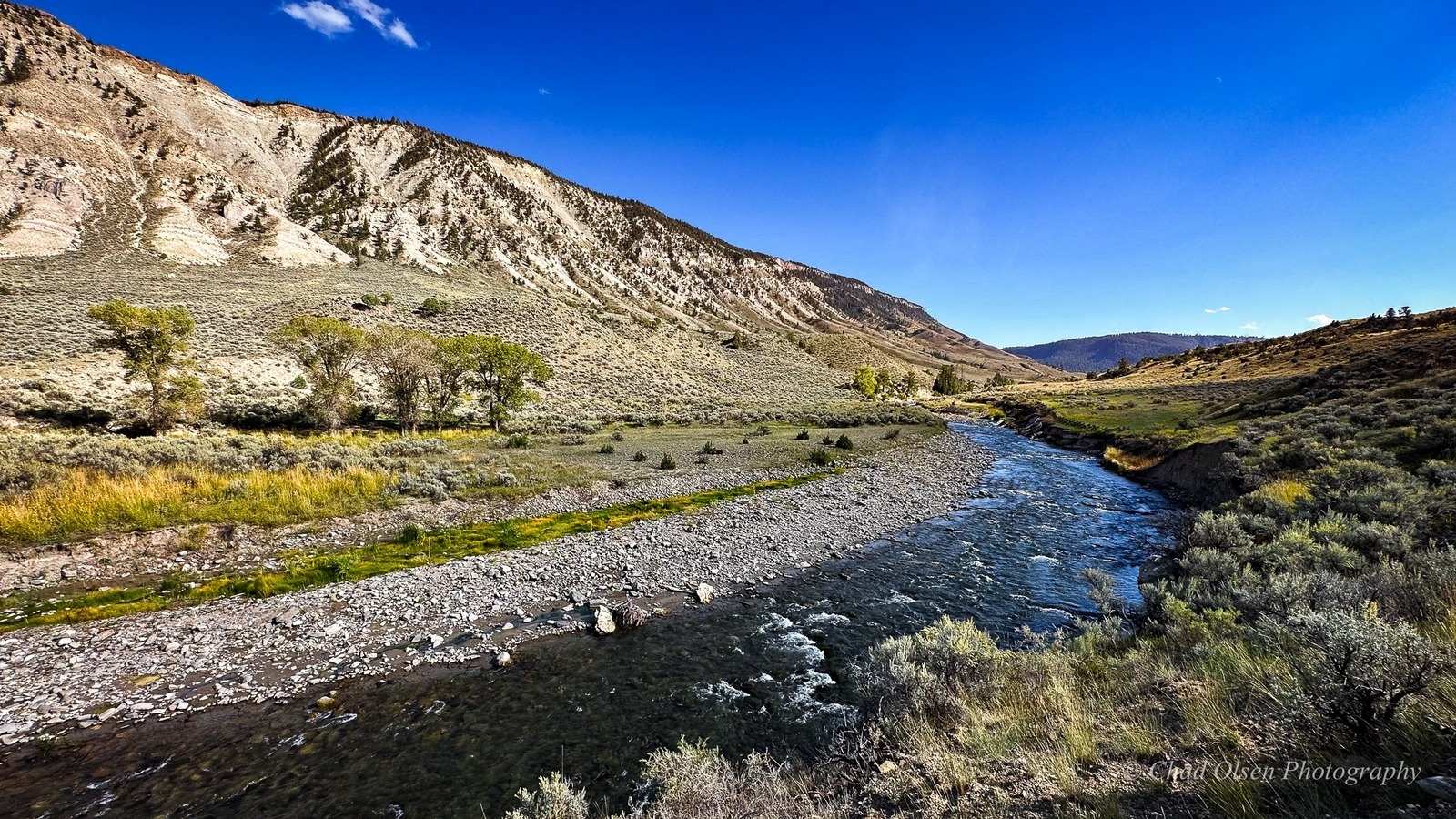 Yellowstone Fly Fishing Trips