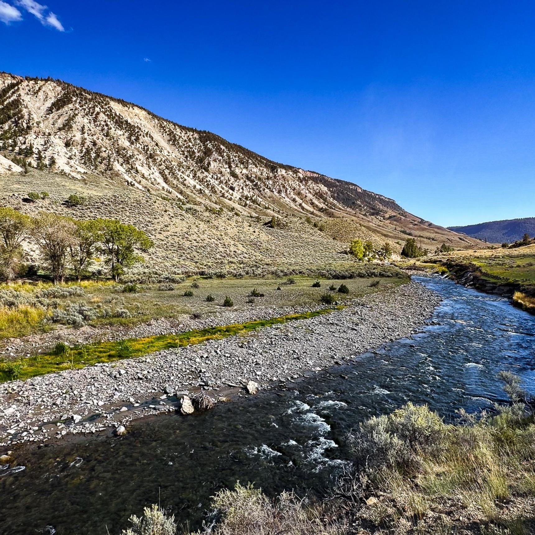 Yellowstone Fly Fishing Trips