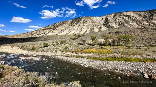 The Best Fly Fishing Trips in Yellowstone Park