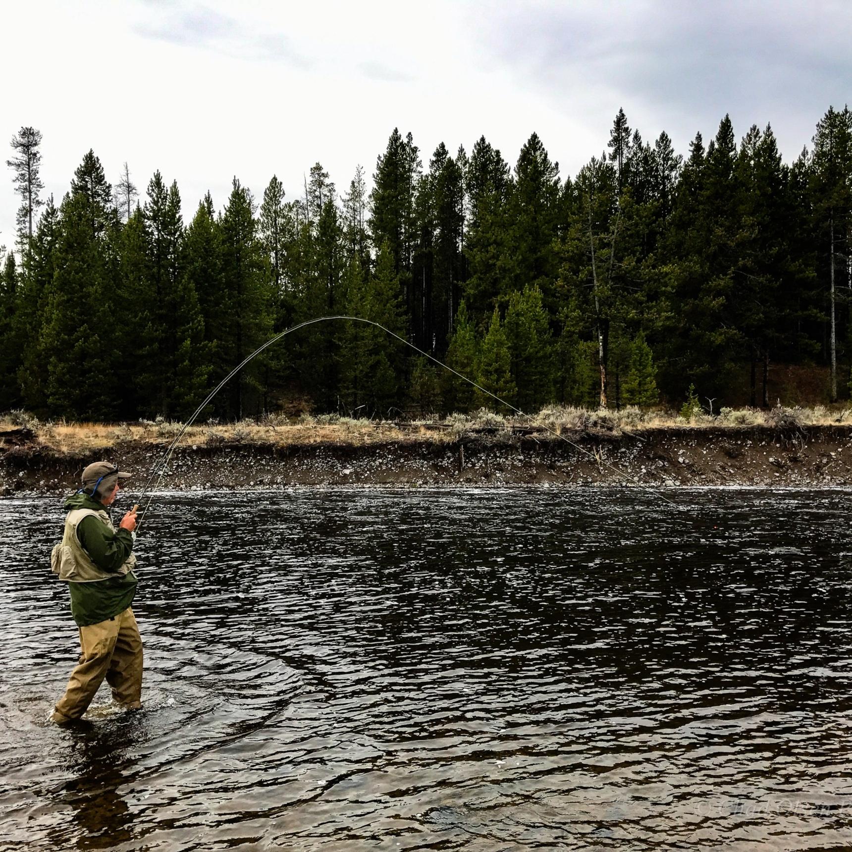 The Best Fly Fishing Trips in Yellowstone Park