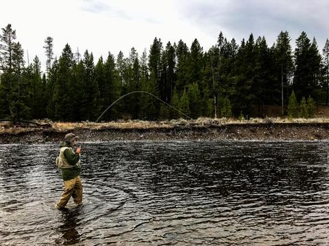 The Best Fly Fishing Trips in Yellowstone Park