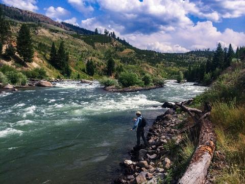 Fly fishing the Yellowstone River, Yellowstone Park