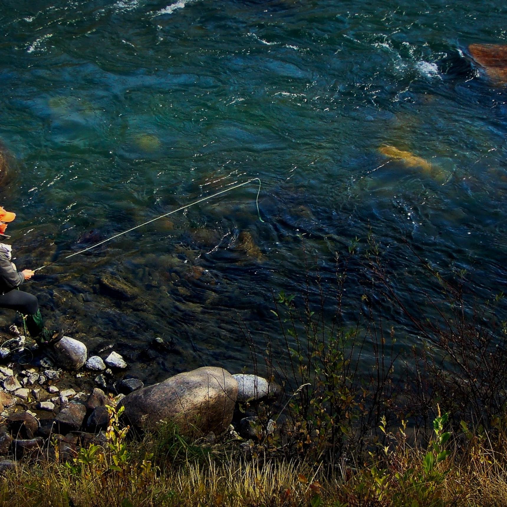 Fly Fishing the Grand Canyon of the Yellowstone