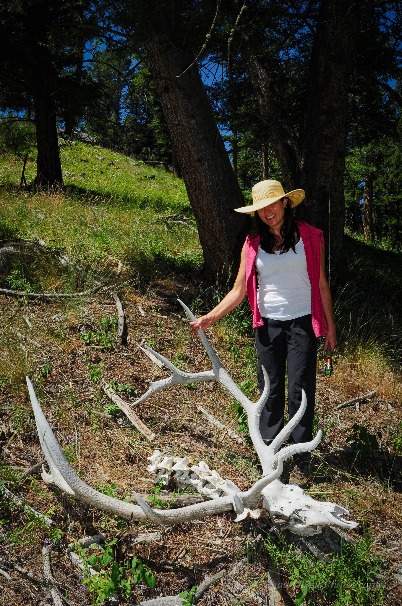 The Best Fly Fishing Trips in Yellowstone Park