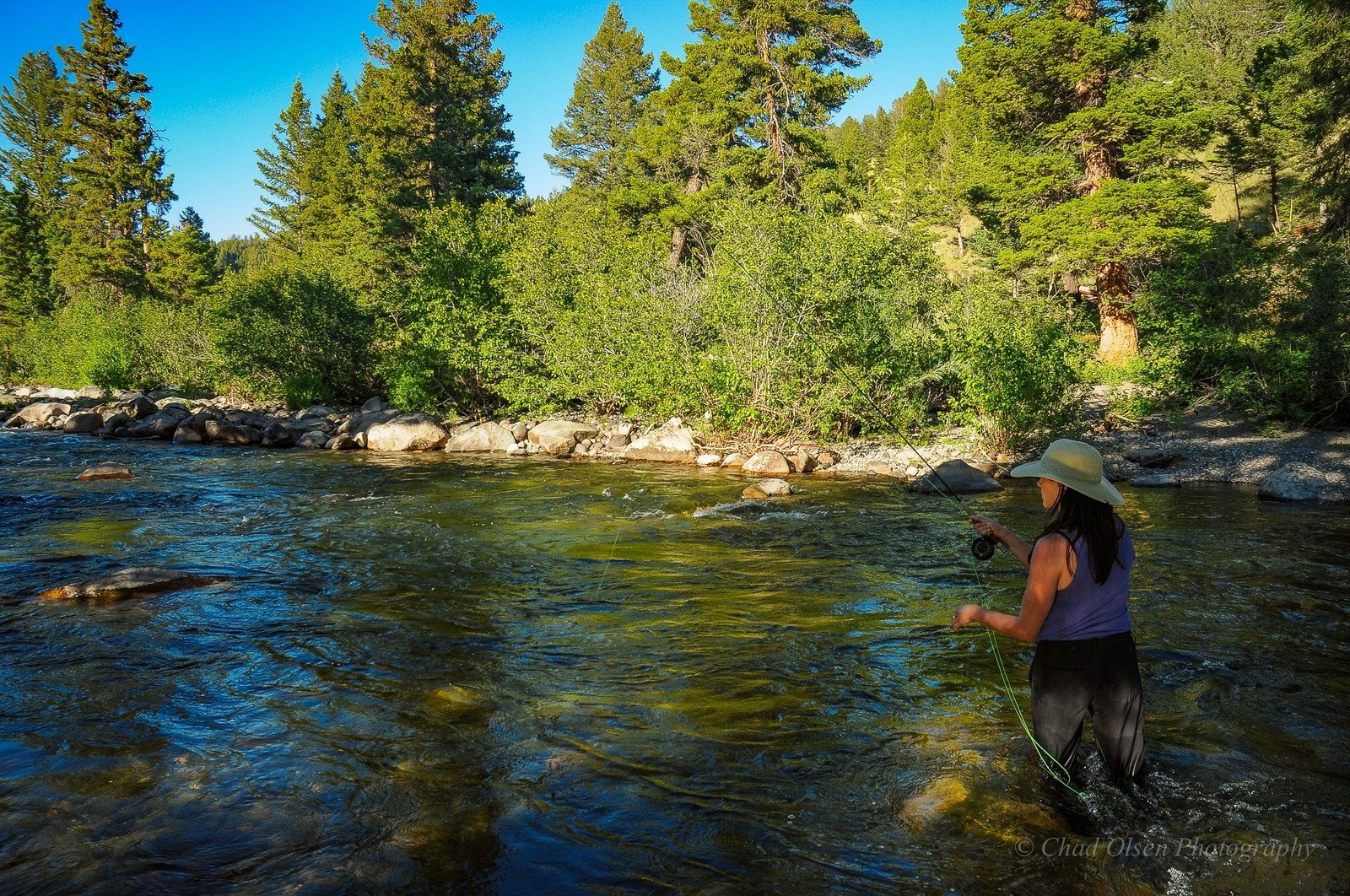 Hellroaring Creek Fly Fishing Trips