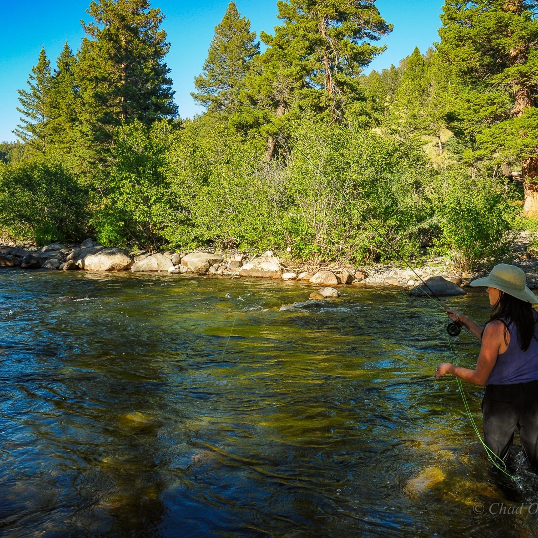 Hellroaring Creek Fly Fishing Trips