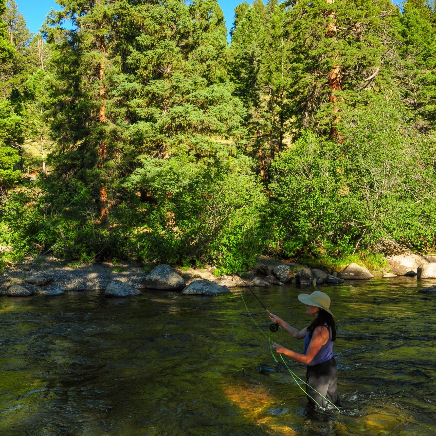 Best Yellowstone Backcountry Fly Fishing Trips