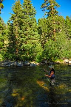 Best Yellowstone Backcountry Fly Fishing Trips