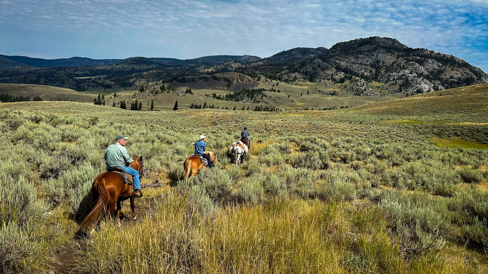 Yellowstone Horseback Fishing Trips
