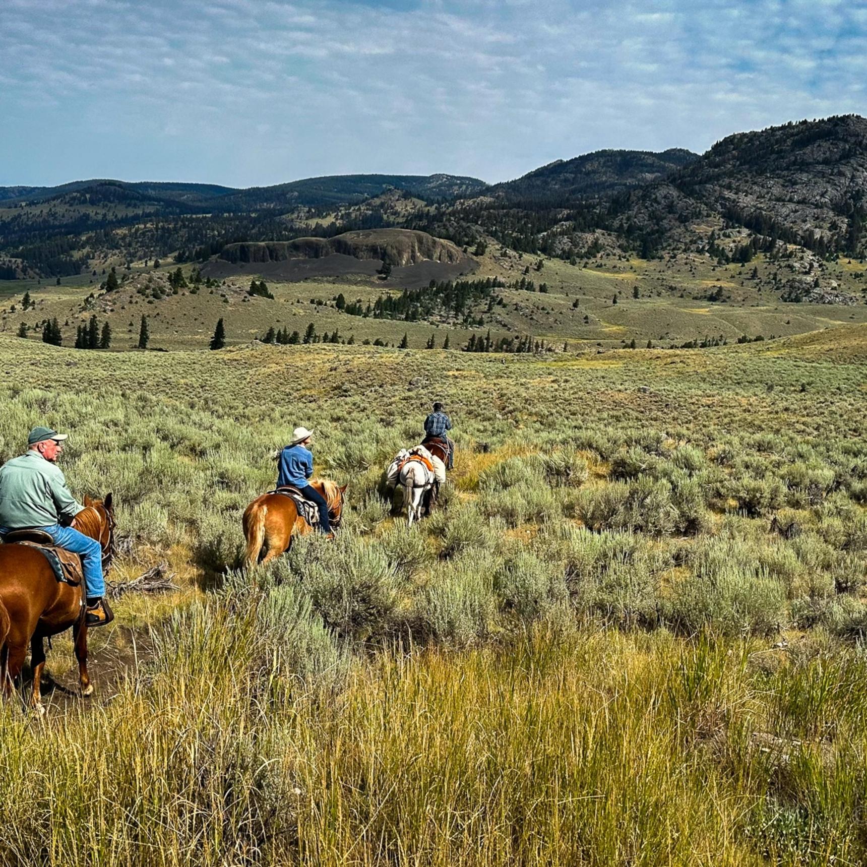 Yellowstone Horseback Fishing Trips