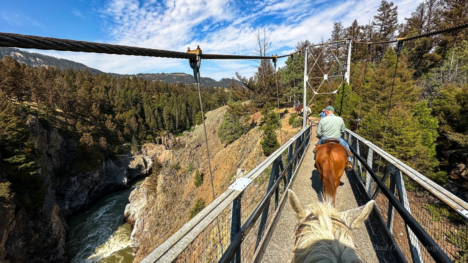 Yellowstone Horseback Fishing Trips
