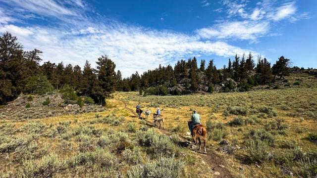 Yellowstone Horseback Fishing Trips