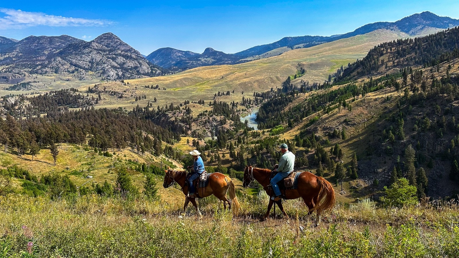 The Best Yellowstone Horseback Fishing Trips