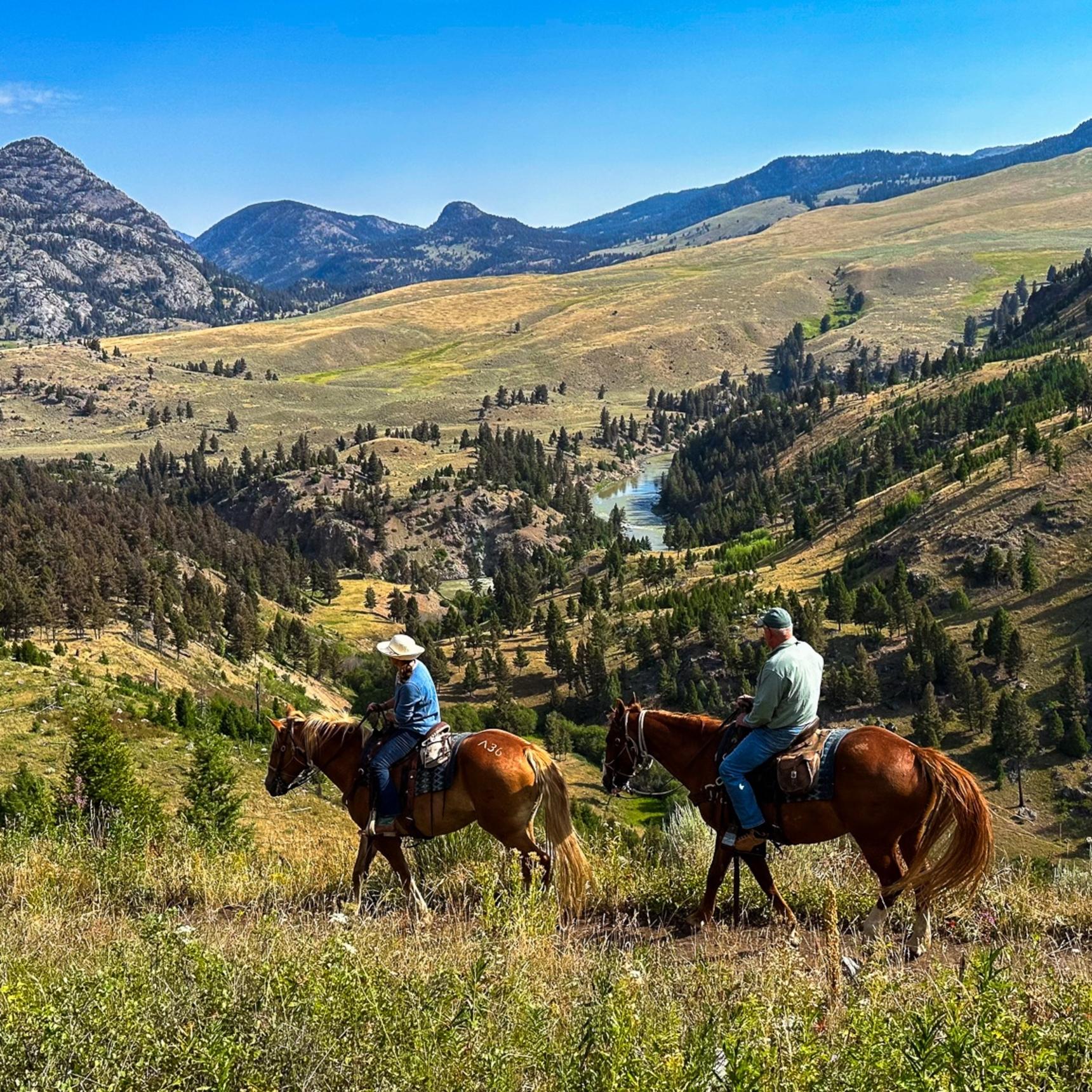 The Best Yellowstone Horseback Fishing Trips