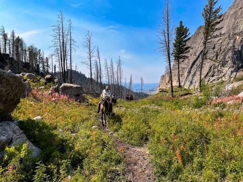 Yellowstone Horseback Fishing Trips