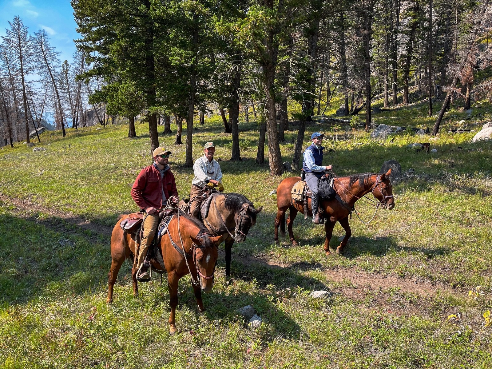 Yellowstone Horseback Fishing Trips