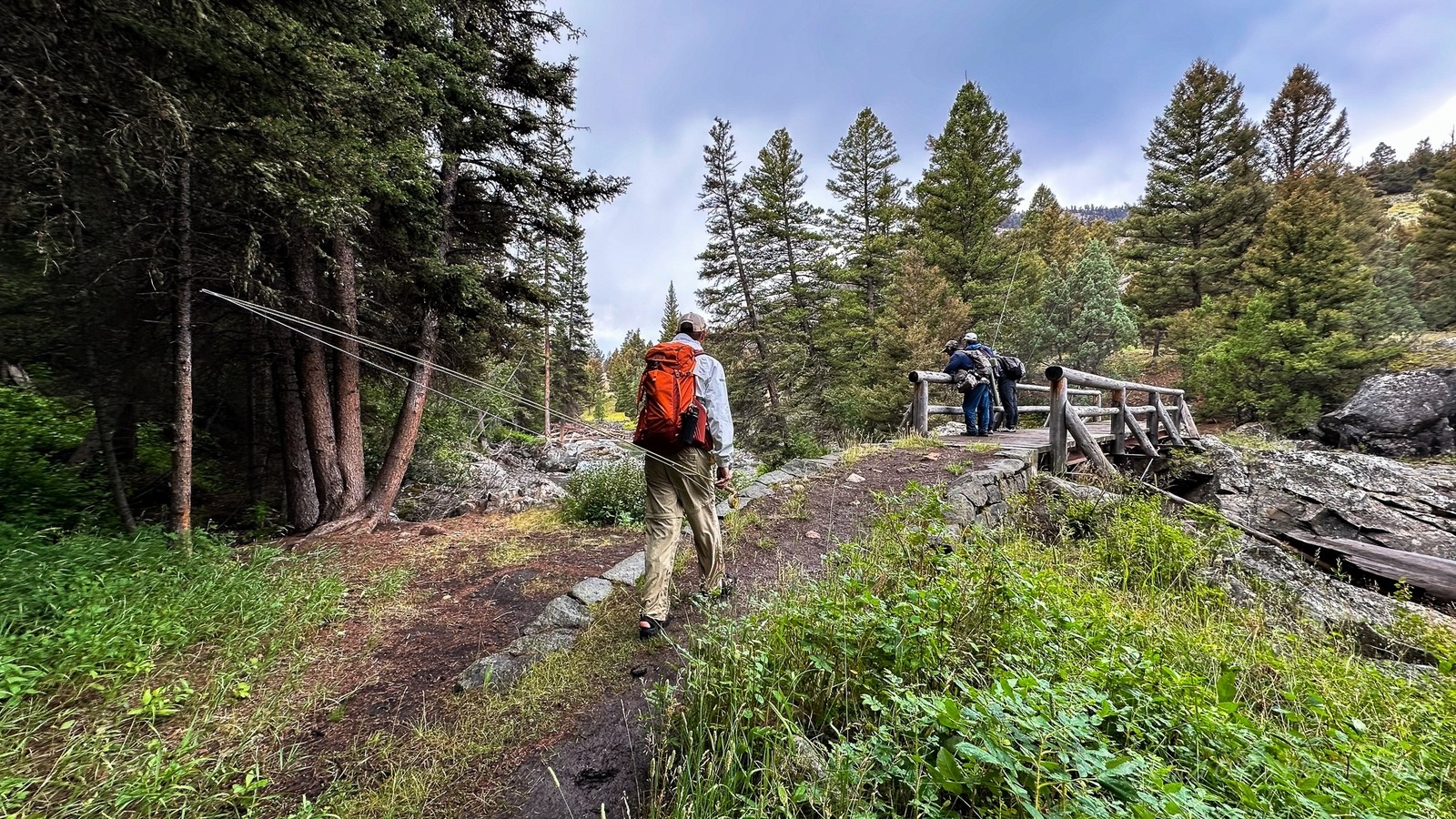 Yellowstone Fishing & Hiking Trips