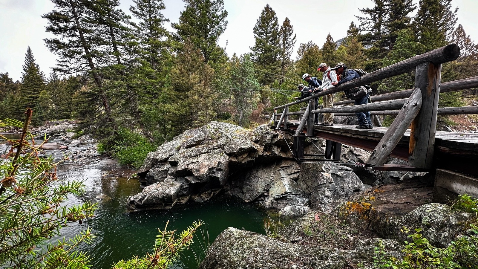 Yellowstone Fishing & Hiking Trips