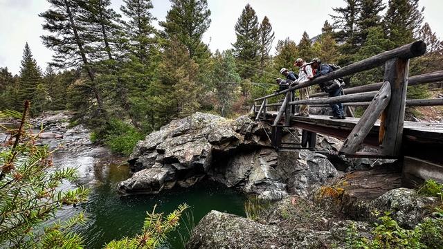 Yellowstone Fishing & Hiking Trips