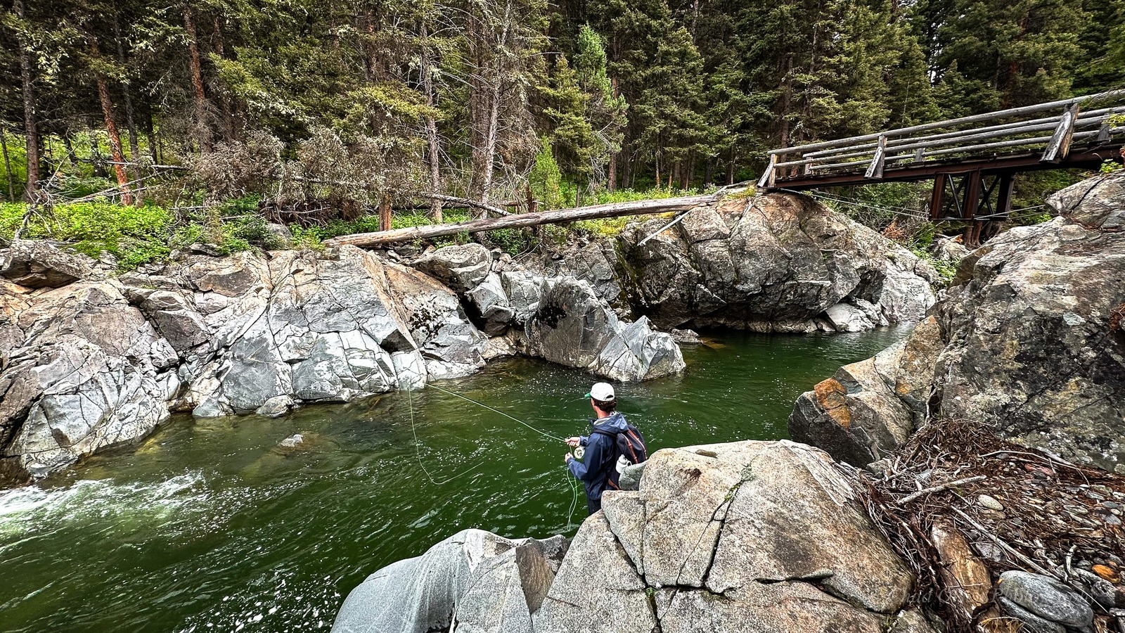 Yellowstone Fishing & Hiking Trips