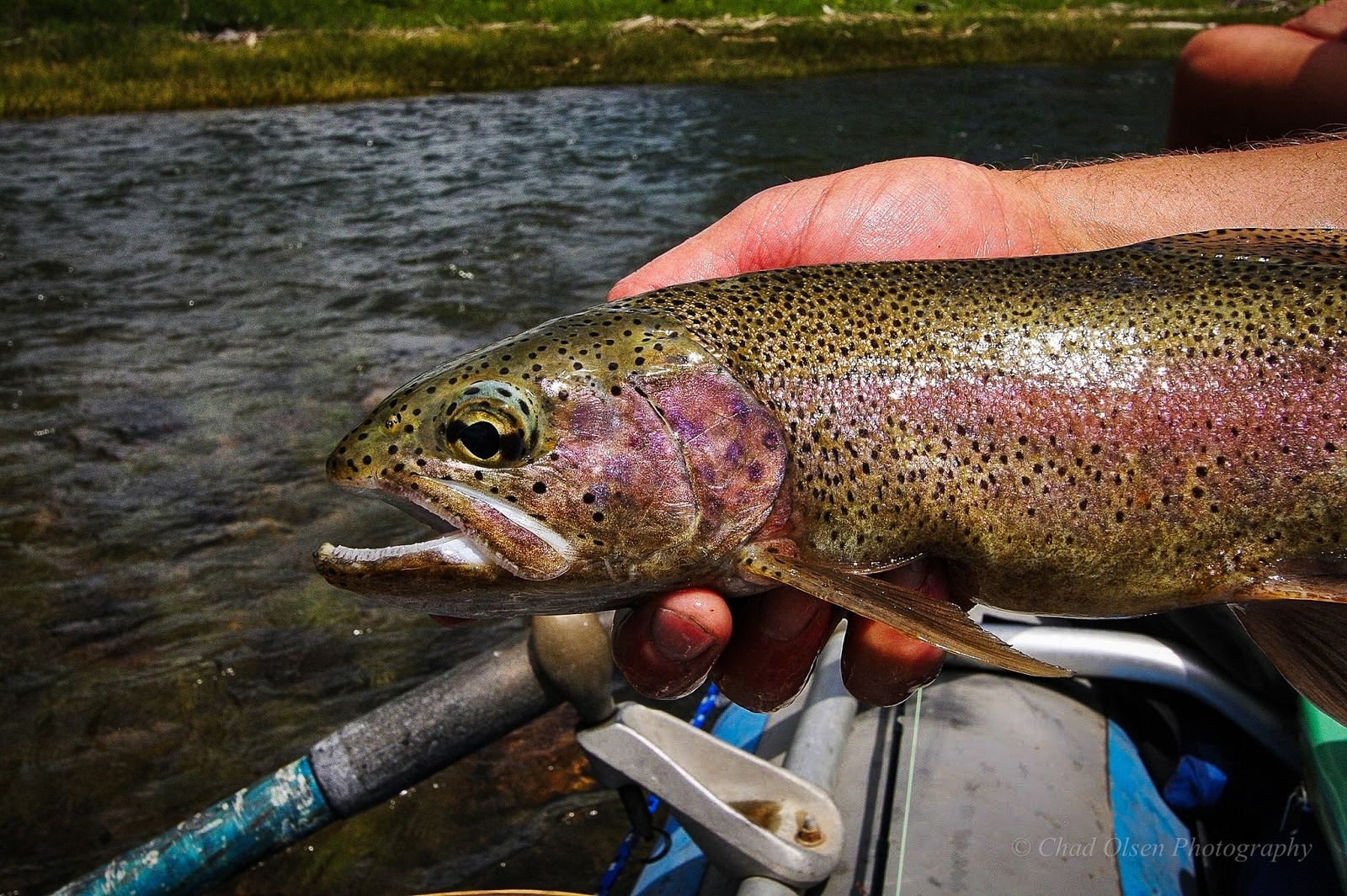 Boulder River Overnight Trip