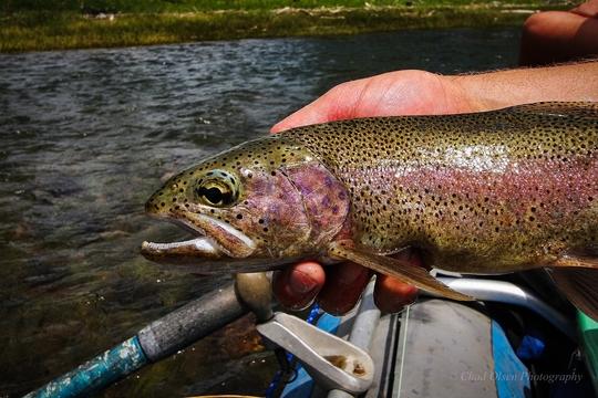 Boulder River Overnight Trip