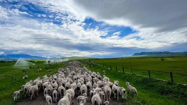 Boulder River Overnight Trip
