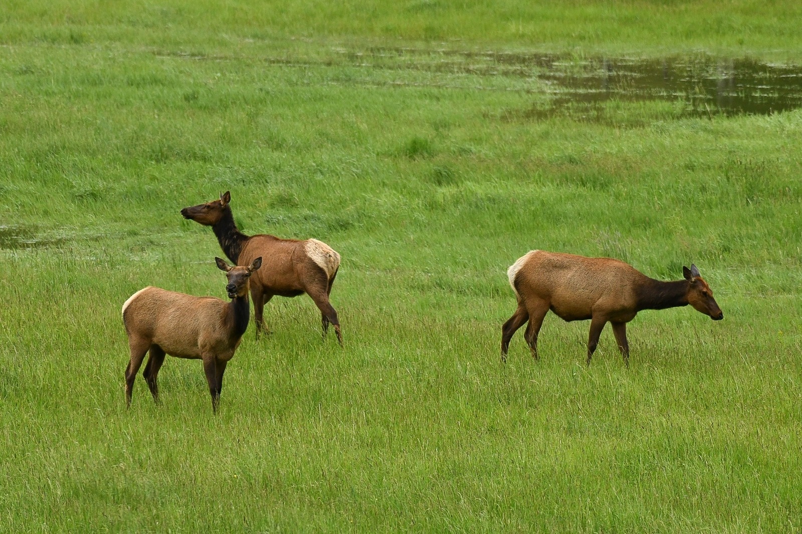 Boulder River Overnight Trip