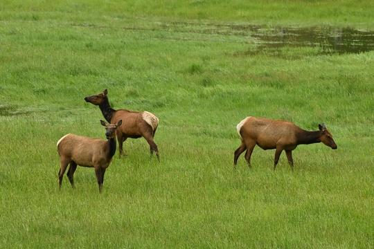 Boulder River Overnight Trip