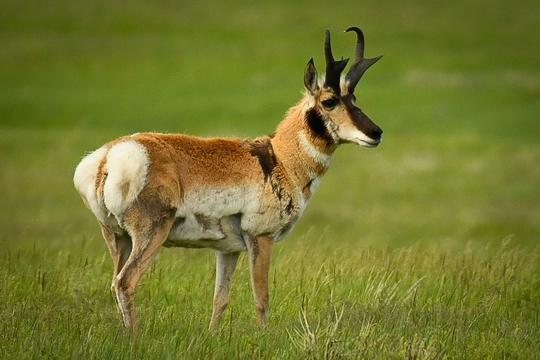 Boulder River Overnight Trip