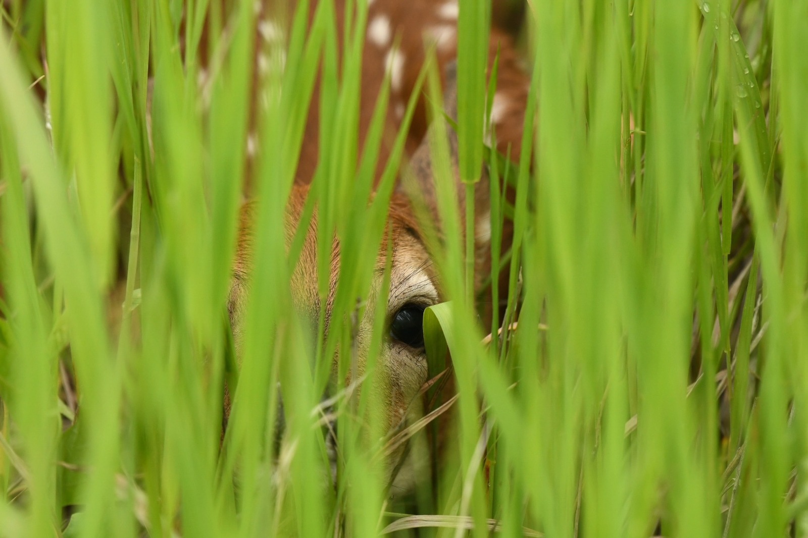Boulder River Overnight Trip