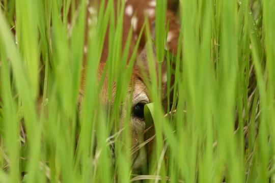 Boulder River Overnight Trip