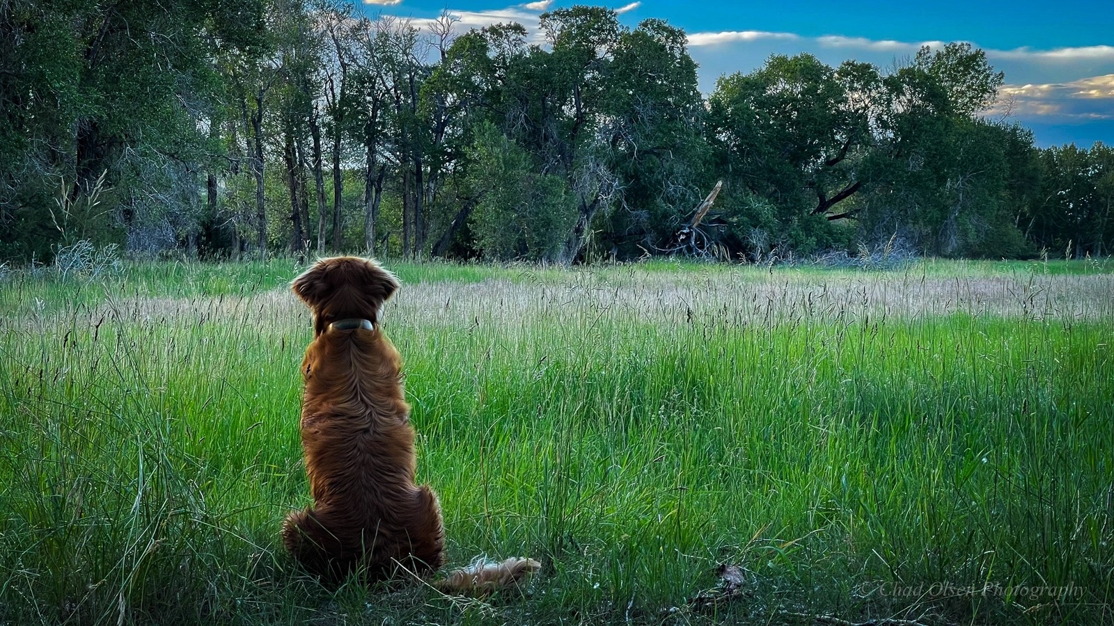 The Best Overnight Float Fishing Trips in Montana