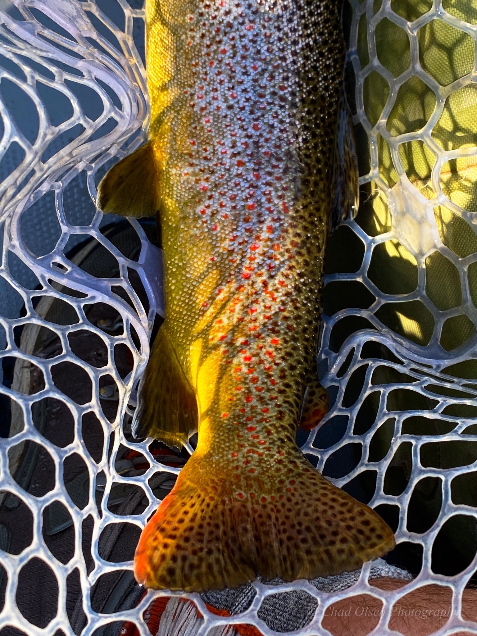 Boulder River Overnight Trip