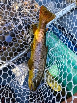 Boulder River Overnight Trip