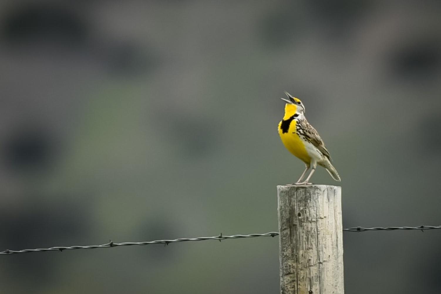Boulder River Overnight Trip