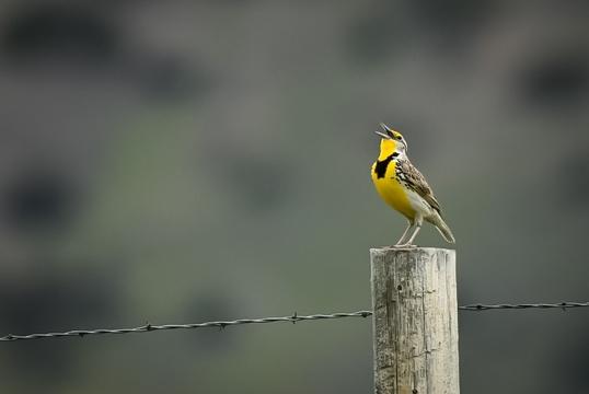 Boulder River Overnight Trip