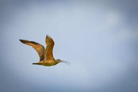 Boulder River Overnight Trip
