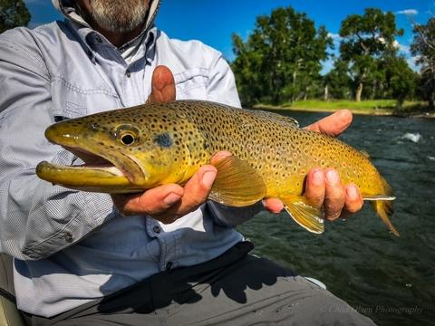 The Best Overnight Float Fishing Trips in Montana