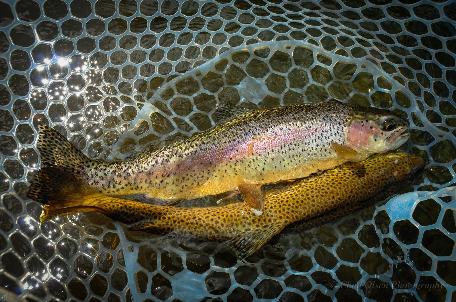 Stillwater River Overnight Trip