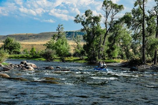 The Best Fly Fishing Trips in Yellowstone Park