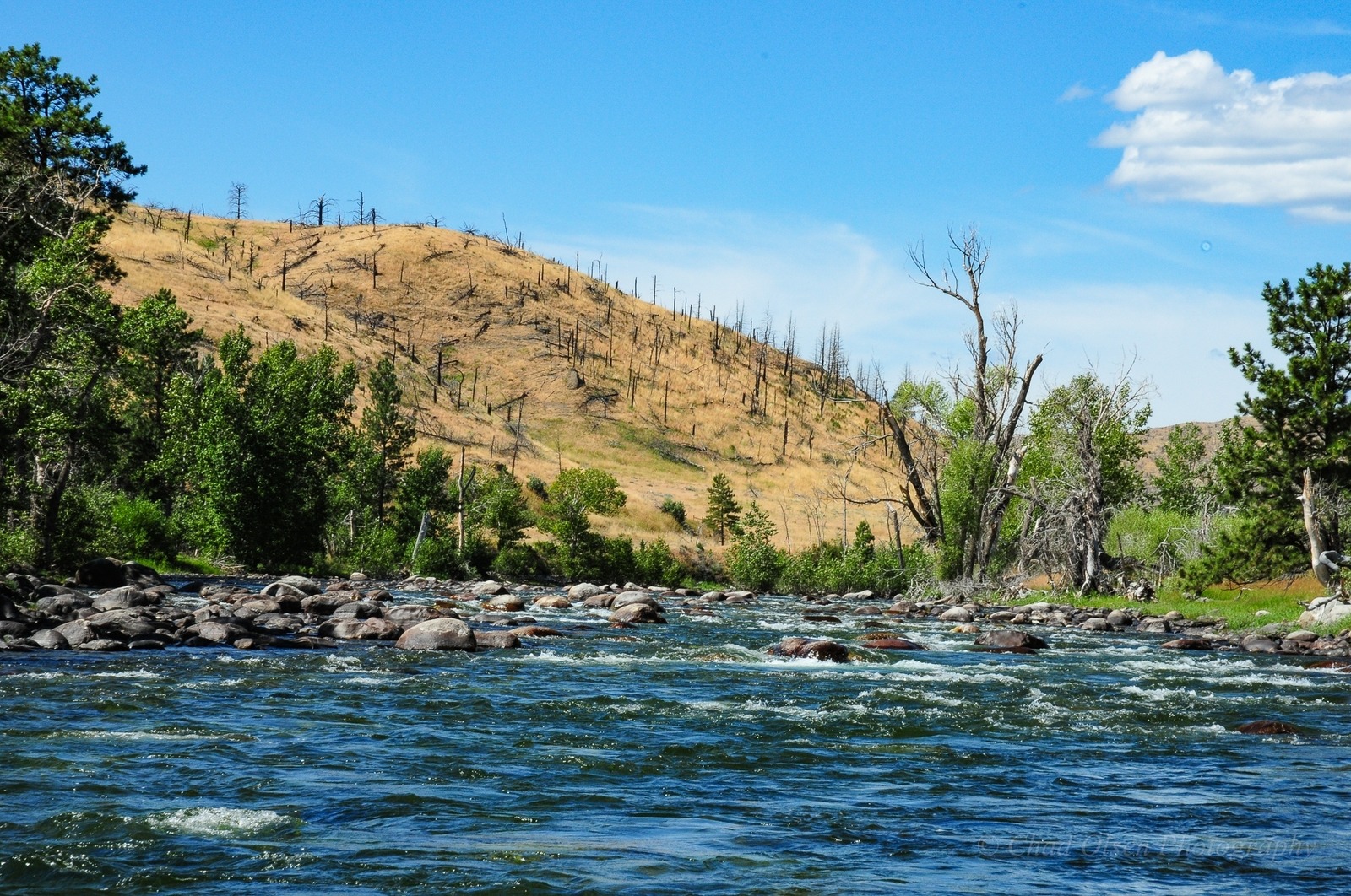 The Best Montana Overnight Float Fishing Trips