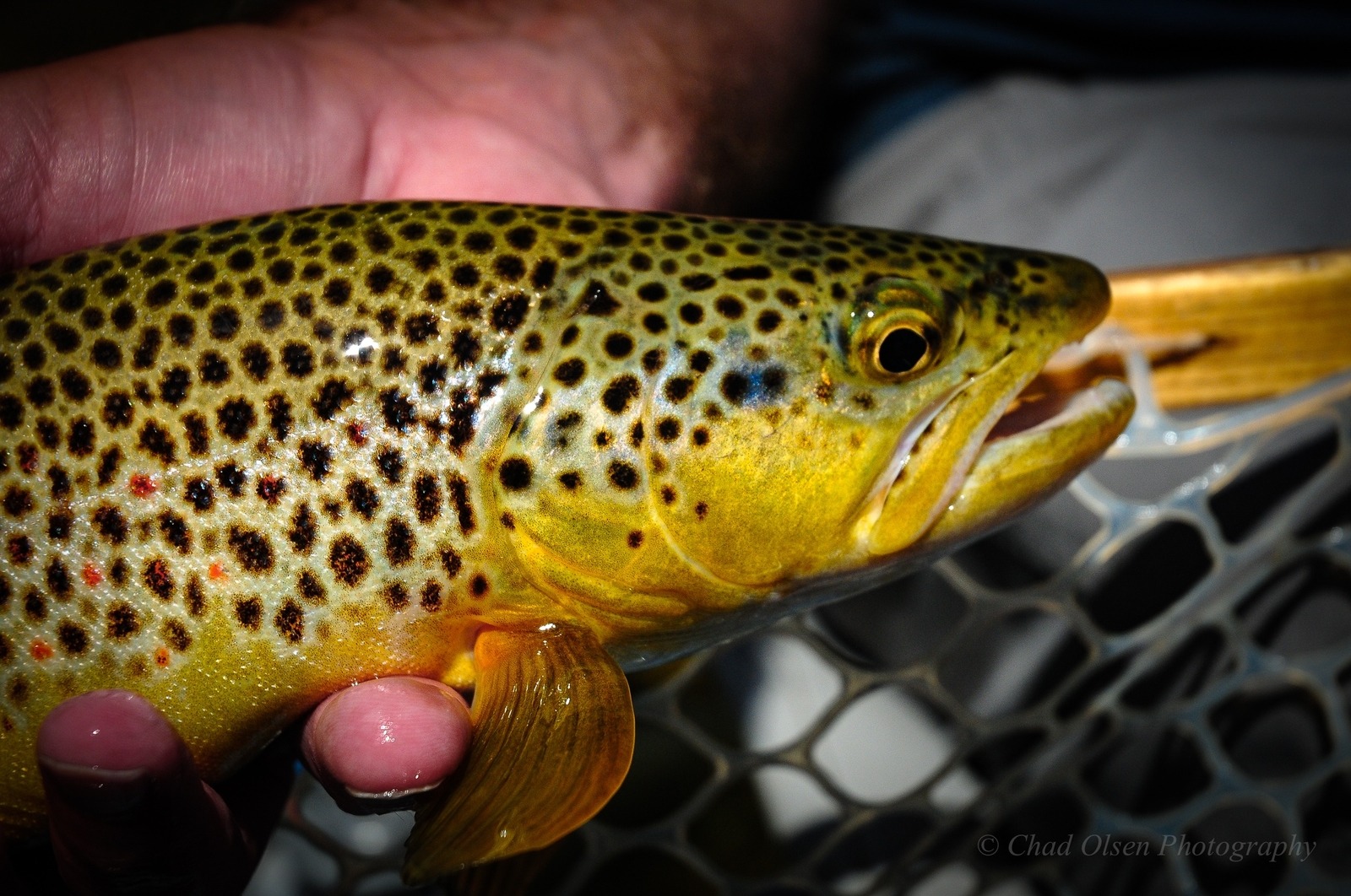 The Best Montana Overnight Float Fishing Trips