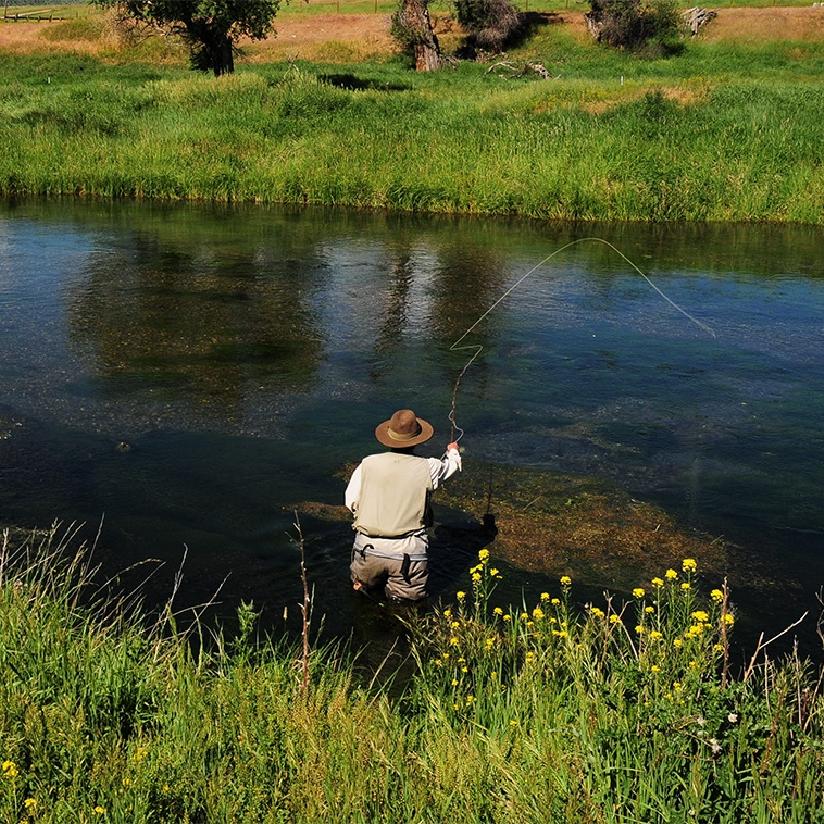 A person fishing in a valley stream.