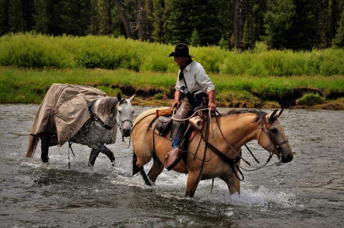 H.A. Fords Slough Creek on Horseback, Yellowstone Park